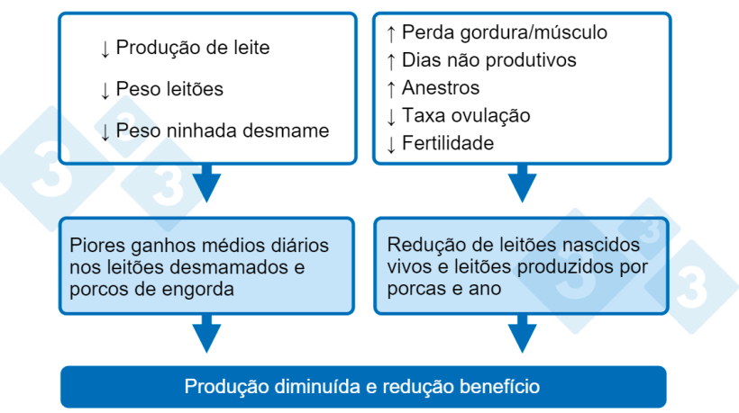 Gráfico 1. Consequências de um baixo consumo de nutrientes na lactação